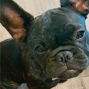 Meet your Posher, Allison